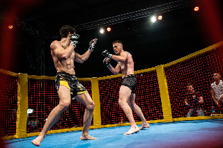Osimo - Torna l’appuntamento con il Warriors Cage Fight